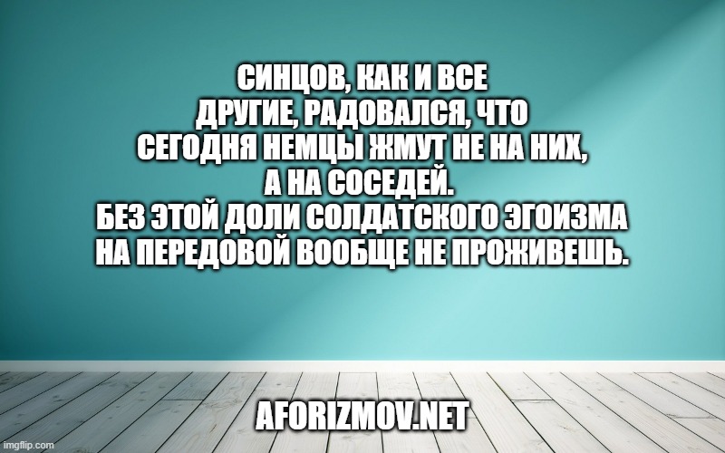 Синцов, как и все другие, радовался, что сегодня немцы жмут не на них, а на соседей. Без этой доли солдатского эгоизма на передовой вообще не проживешь.
