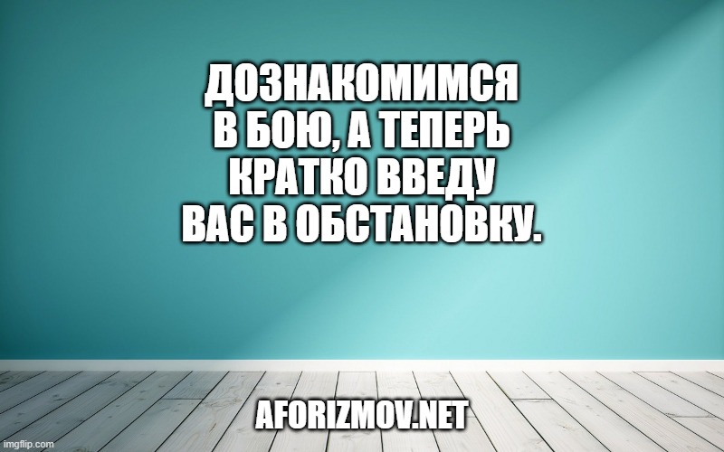 Дознакомимся в бою, а теперь кратко введу вас в обстановку.