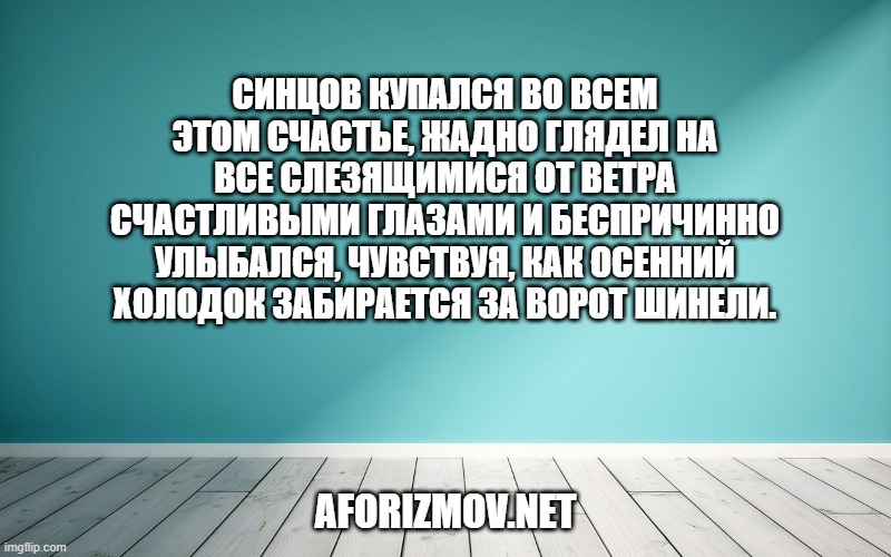 Синцов купался во всем этом счастье, жадно глядел на все слезящимися от ветра счастливыми глазами и беспричинно улыбался, чувствуя, как осенний холодок забирается за ворот шинели.