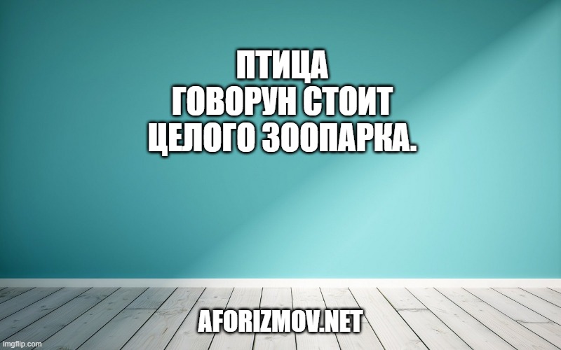 Птица Говорун стоит целого зоопарка.