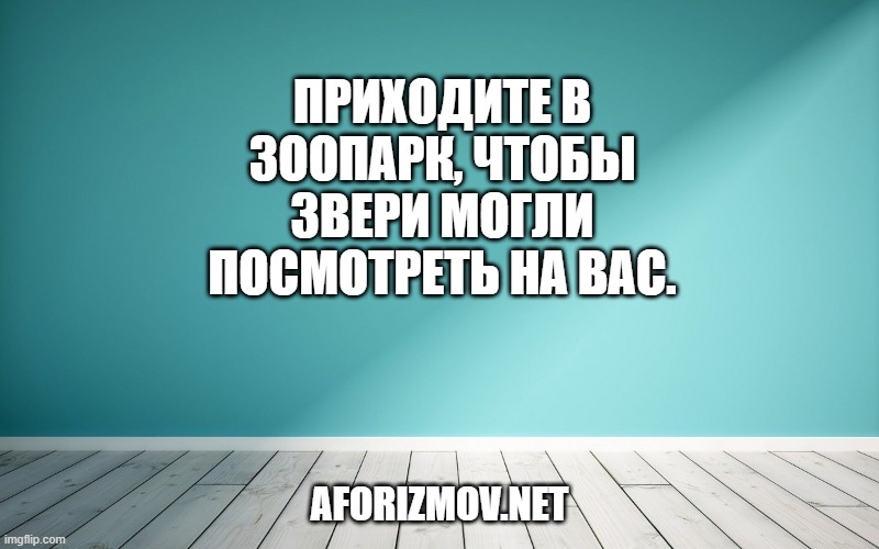 Приходите в зоопарк, чтобы звери могли посмотреть на вас.