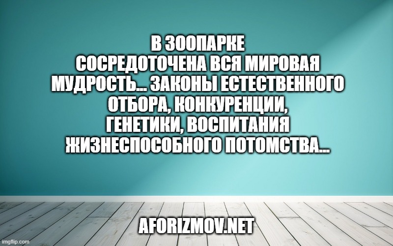 В зоопарке сосредоточена вся мировая мудрость... Законы естественного отбора, конкуренции, генетики, воспитания жизнеспособного потомства...