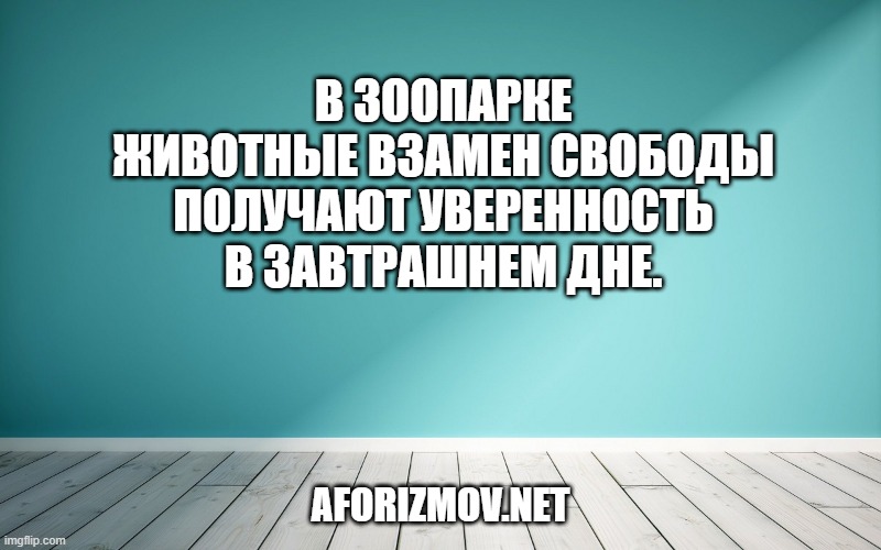 В зоопарке животные взамен свободы получают уверенность в завтрашнем дне.