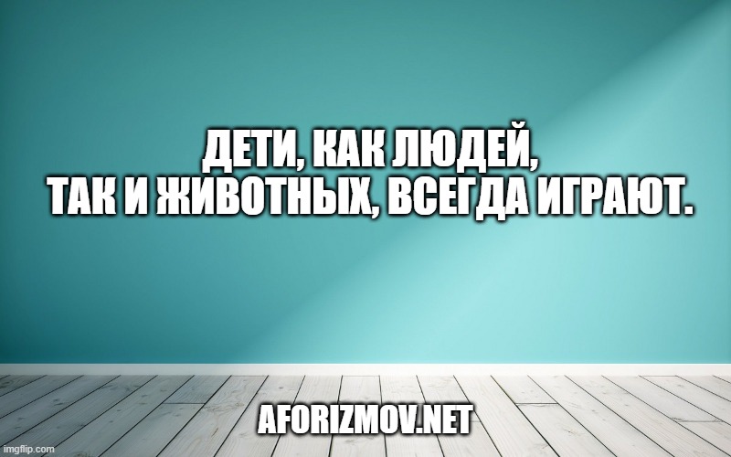 Дети, как людей, так и животных, всегда играют.