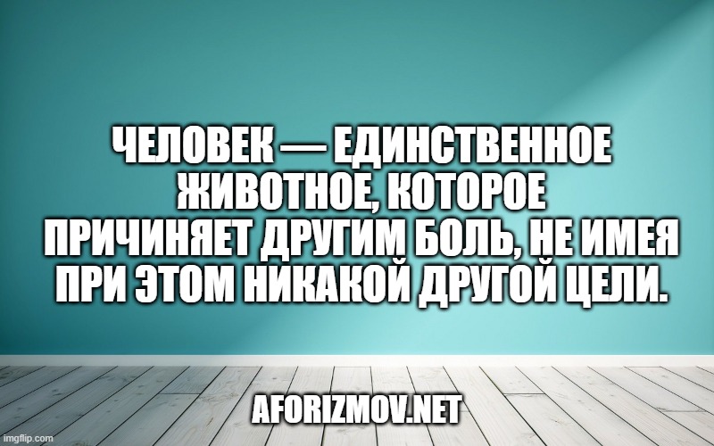 Человек — единственное животное, которое причиняет другим боль, не имея при этом никакой другой цели.