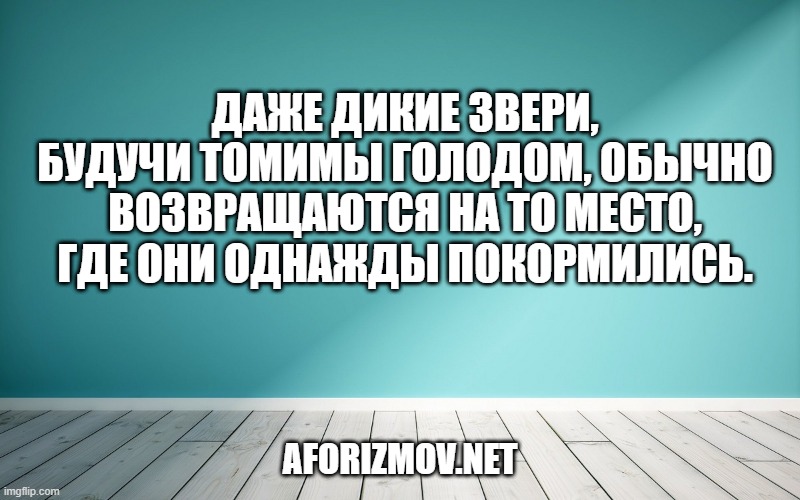 Даже дикие звери, будучи томимы голодом, обычно возвращаются на то место, где они однажды покормились.