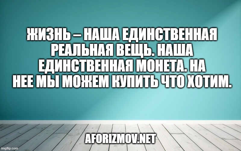 Жизнь – наша единственная реальная вещь. Наша единственная монета. На нее мы можем купить что хотим.