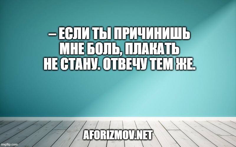 – Если ты причинишь мне боль, плакать не стану. Отвечу тем же.