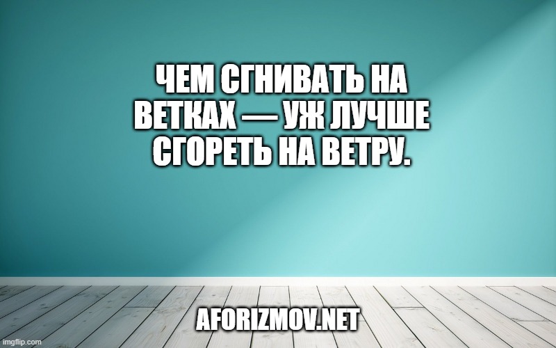 Чем сгнивать на ветках — Уж лучше сгореть на ветру.