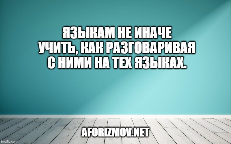 Языкам не иначе учить, как разговаривая с ними на тех языках.