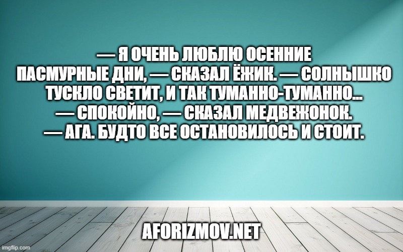 — Я очень люблю осенние пасмурные дни, — сказал Ёжик. — Солнышко тускло светит, и так туманно-туманно…
— Спокойно, — сказал Медвежонок.
— Ага. Будто все остановилось и стоит.
