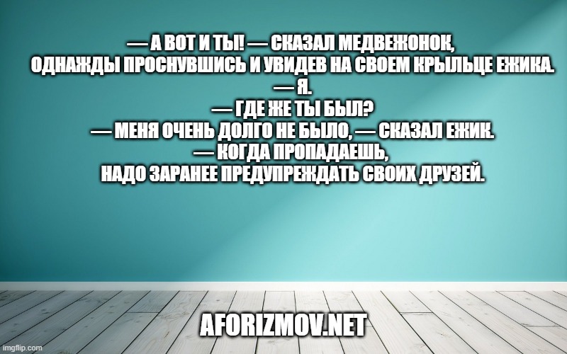 

— А вот и ты! — сказал Медвежонок, однажды проснувшись и увидев на своем крыльце Ежика.
— Я.
— Где же ты был?
— Меня очень долго не было, — сказал Ежик.
— Когда пропадаешь, надо заранее предупреждать своих друзей.