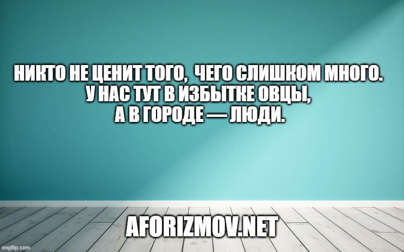 Никто не ценит того, чего слишком много. У нас тут в избытке овцы, а в городе — люди.