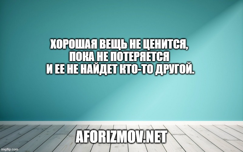 Хорошая вещь не ценится, пока не потеряется и ее не найдет кто-то другой.