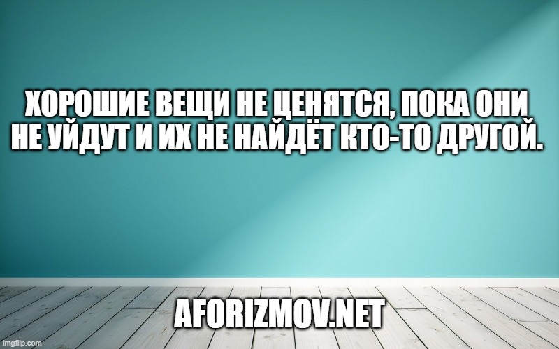 Хорошие вещи не ценятся, пока они не уйдут и их не найдёт кто-то другой.