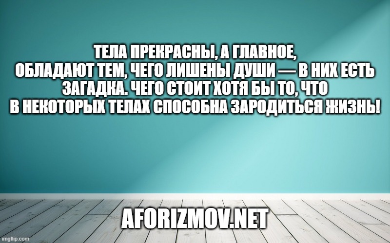 Тела прекрасны, а главное, обладают тем, чего лишены души — в них есть загадка. Чего стоит хотя бы то, что в некоторых телах способна зародиться жизнь!
