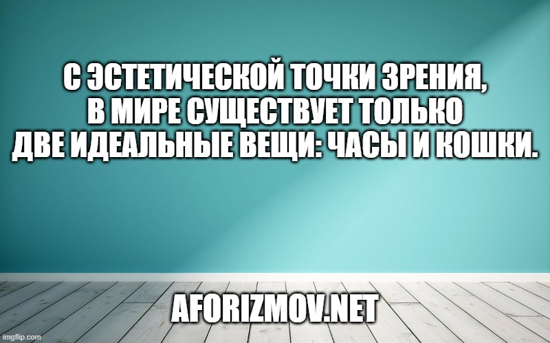 С эстетической точки зрения, в мире существует только две идеальные вещи: часы и кошки.
