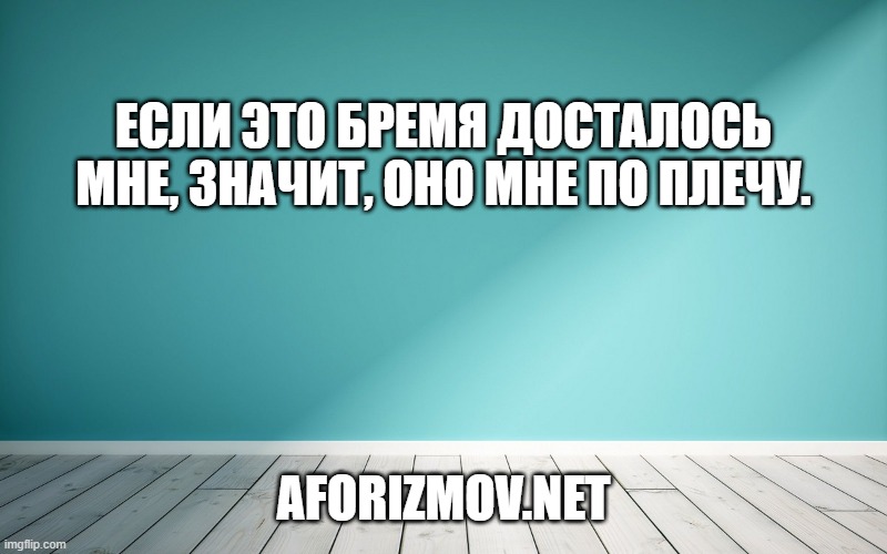 Если это бремя досталось мне, значит, оно мне по плечу.