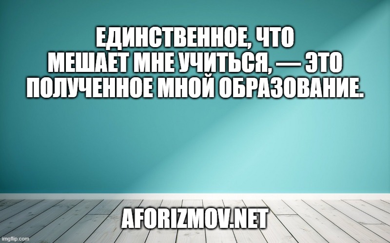 Единственное, что мешает мне учиться, — это полученное мной образование.