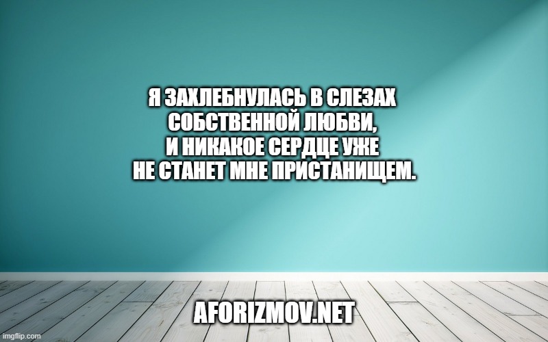 Я захлебнулась в слезах собственной любви, и никакое сердце уже не станет мне пристанищем.