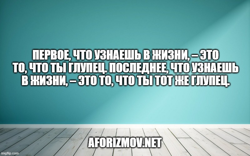 Первое, что узнаешь в жизни, – это то, что ты глупец. Последнее, что узнаешь в жизни, – это то, что ты тот же глупец.