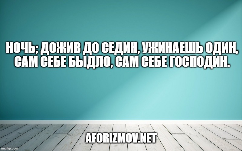 Ночь; дожив до седин, ужинаешь один,
Сам себе быдло, сам себе господин.