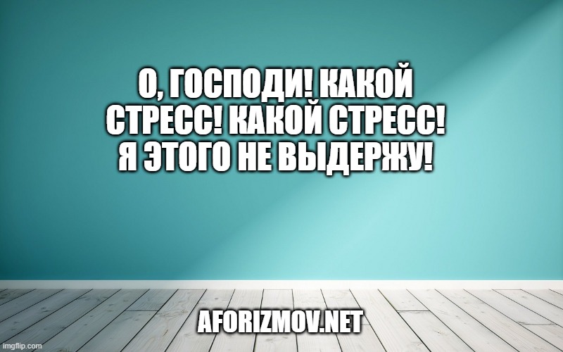 О, Господи! Какой стресс! Какой стресс! Я этого не выдержу!