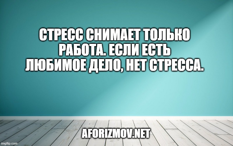 Стресс снимает только работа. Если есть любимое дело, нет стресса.