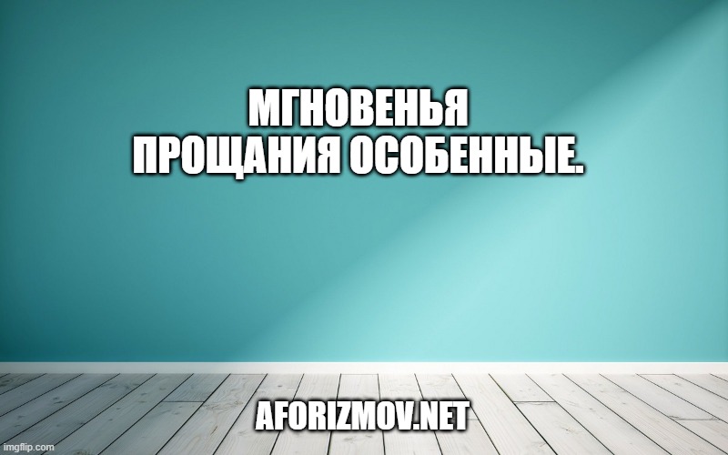 Мгновенья прощания особенные.