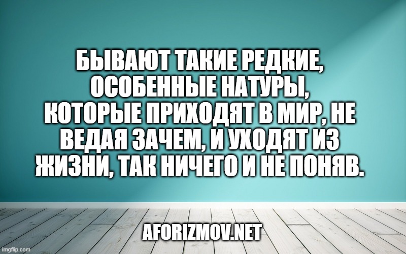 Бывают такие редкие, особенные натуры, которые приходят в мир, не ведая зачем, и уходят из жизни, так ничего и не поняв.