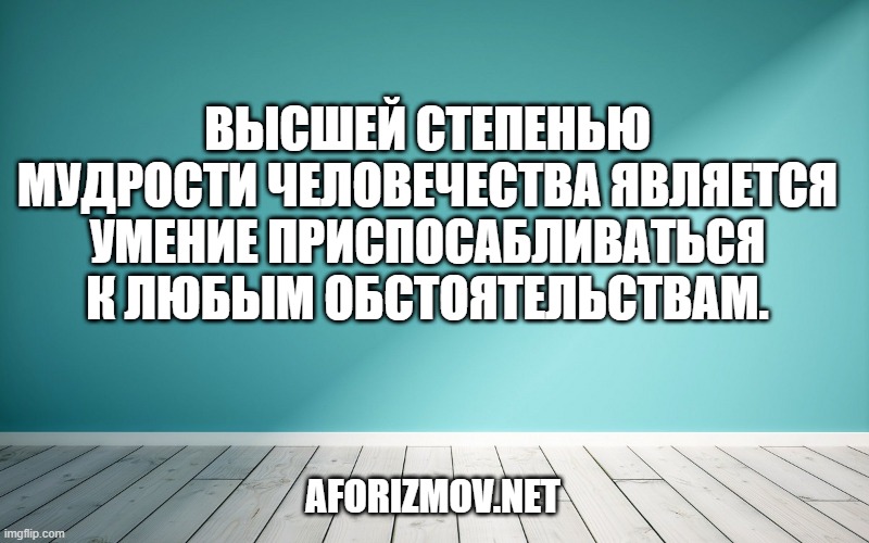 Высшей степенью мудрости человечества является умение приспосабливаться к любым обстоятельствам.