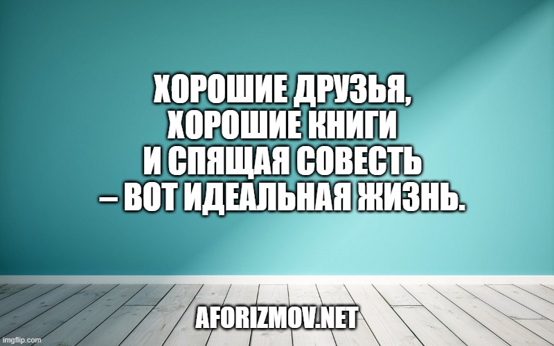 Хорошие друзья, хорошие книги и спящая совесть – вот идеальная жизнь.