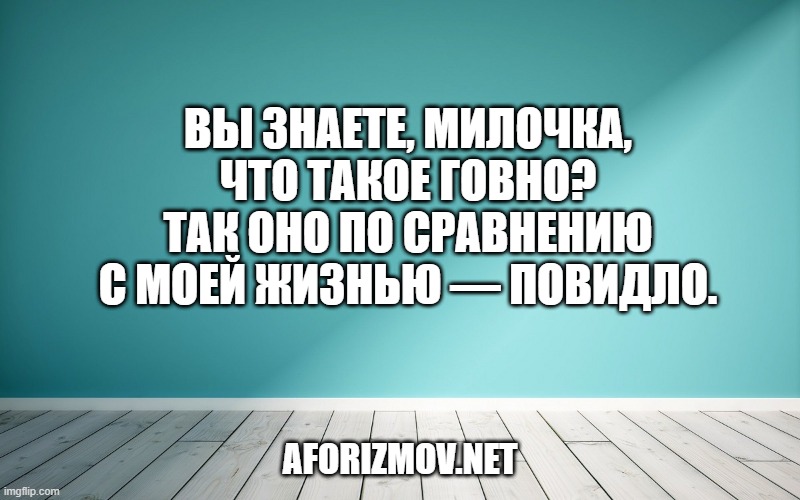 Вы знаете, милочка, что такое говно? Так оно по сравнению с моей жизнью — повидло.