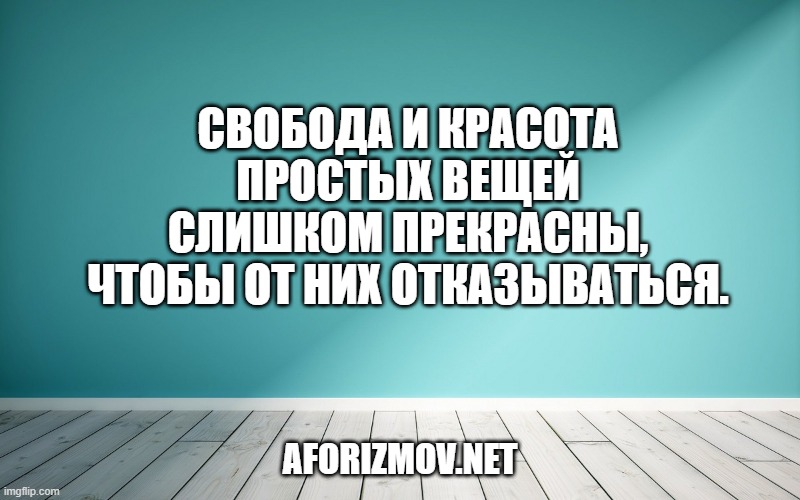 Свобода и красота простых вещей слишком прекрасны, чтобы от них отказываться.