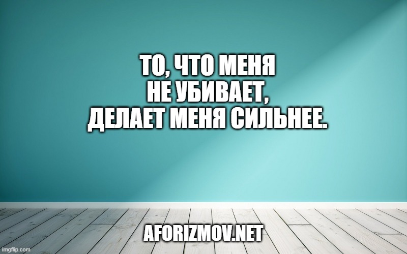 То, что меня не убивает, делает меня сильнее.