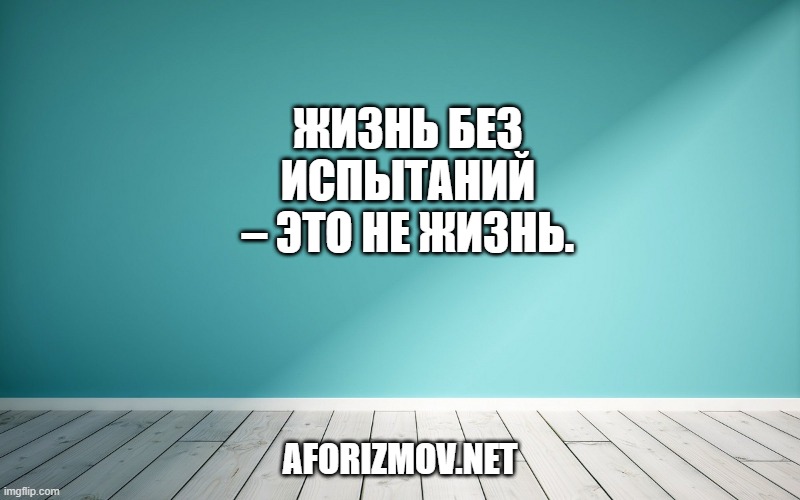 Жизнь без испытаний – это не жизнь.