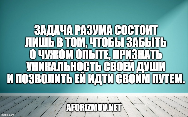 Задача разума состоит лишь в том, чтобы забыть о чужом опыте, признать уникальность своей души и позволить ей идти своим путем.