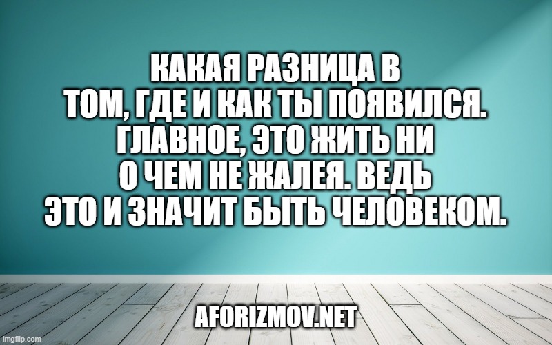 Какая разница в том, где и как ты появился. Главное, это жить ни о чем не жалея. Ведь это и значит быть человеком.