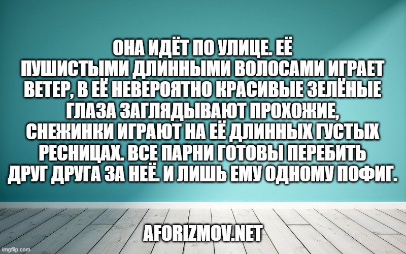 Она идёт по улице. Её пушистыми длинными волосами играет ветер, в её невероятно красивые зелёные глаза заглядывают прохожие, снежинки играют на её длинных густых ресницах. Все парни готовы перебить друг друга за неё. И лишь ему одному пофиг.