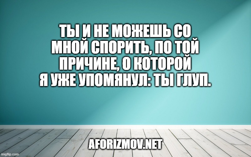 Ты и не можешь со мной спорить, по той причине, о которой я уже упомянул: ты глуп.