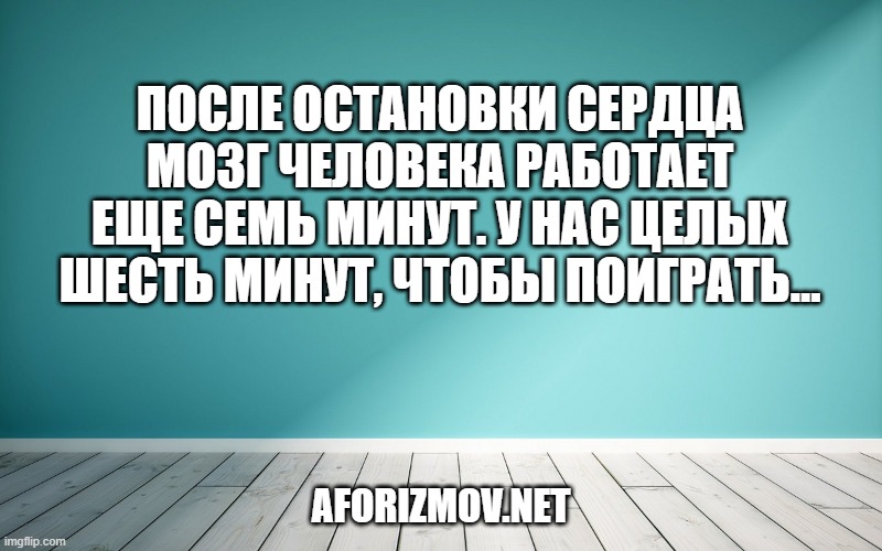После остановки сердца мозг человека работает еще семь минут. У нас целых шесть минут, чтобы поиграть…