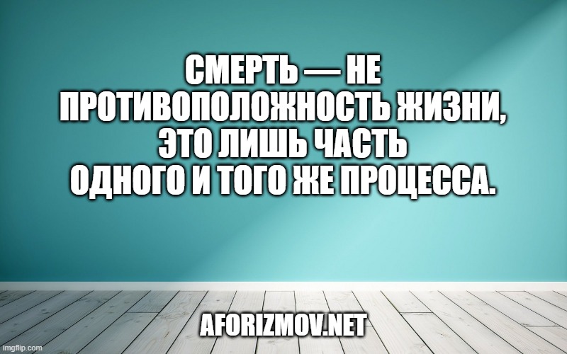 Смерть — не противоположность жизни, это лишь часть одного и того же процесса.