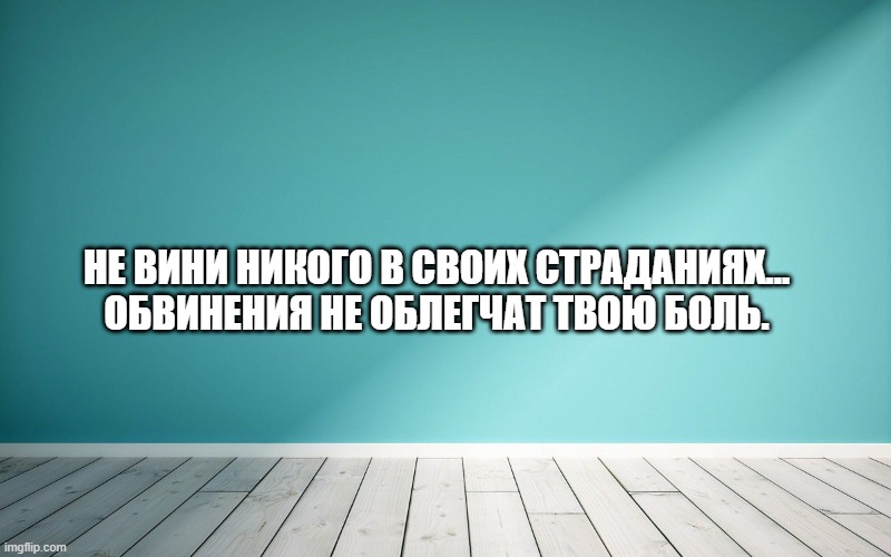 Не вини никого в своих страданиях... Обвинения не облегчат твою боль.