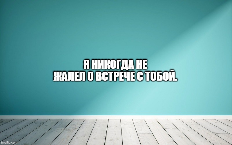 Я никогда не жалел о встрече с тобой.