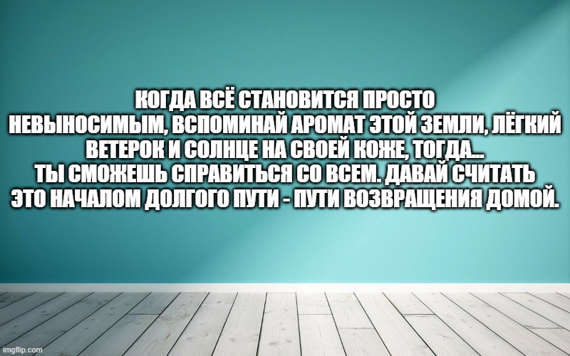 Когда всё становится просто невыносимым, вспоминай аромат этой земли, лёгкий ветерок и солнце на своей коже, тогда... ты сможешь справиться со всем. Давай считать это началом долгого пути - пути возвращения домой.