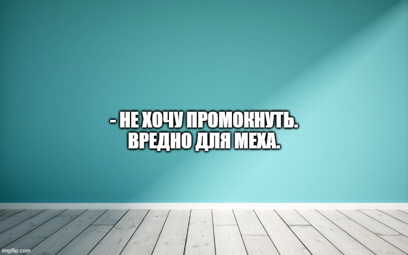 - Не хочу промокнуть. Вредно для меха.