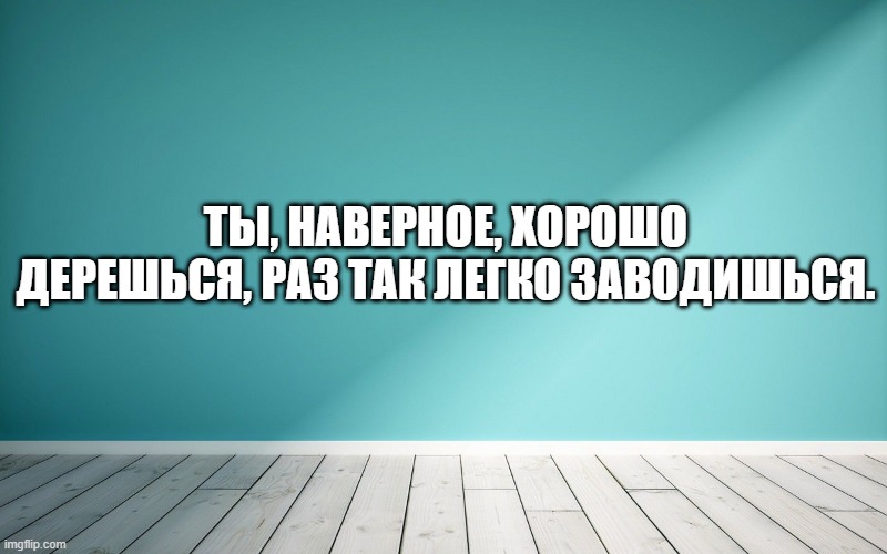 Ты, наверное, хорошо дерешься, раз так легко заводишься.