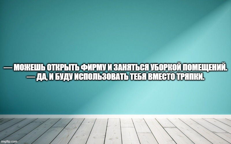 — Можешь открыть фирму и заняться уборкой помещений. — Да, и буду использовать тебя вместо тряпки.