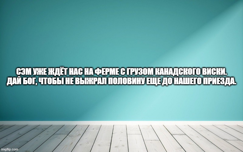 Сэм уже ждёт нас на ферме с грузом канадского виски. Дай Бог, чтобы не выжрал половину еще до нашего приезда.