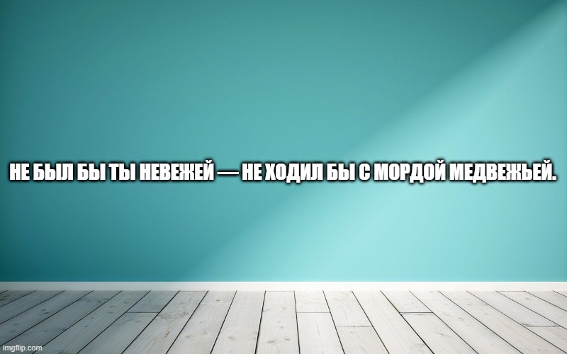 Не был бы ты невежей — не ходил бы с мордой медвежьей.